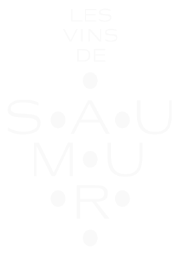 logo vin de saumur